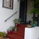 Succulents on the porch