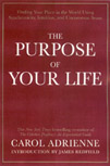 Finding Life Purpose